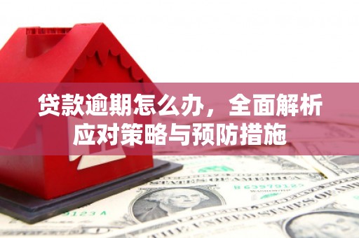 汶上贷款逾期怎么办，全面解析应对策略与预防措施