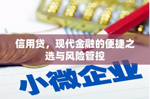 北海新区信用贷，现代金融的便捷之选与风险管控