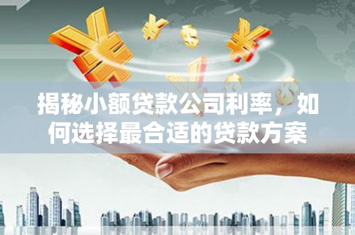 新县揭秘小额贷款公司利率，如何选择最合适的贷款方案