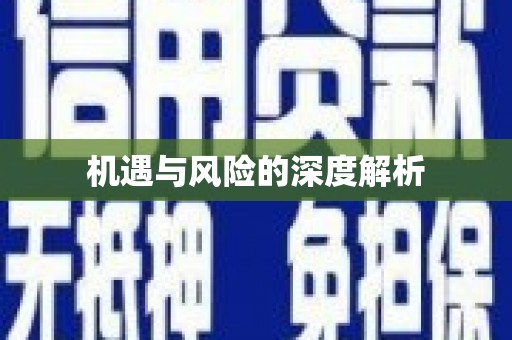 茂林机遇与风险的深度解析