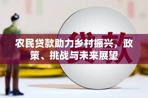 望江农民贷款助力乡村振兴，政策、挑战与未来展望