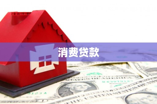 楠西消费贷款