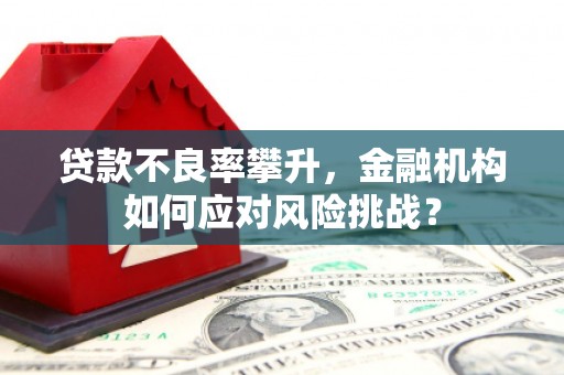 昆都仑贷款不良率攀升，金融机构如何应对风险挑战？