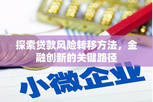 鸡泽探索贷款风险转移方法，金融创新的关键路径