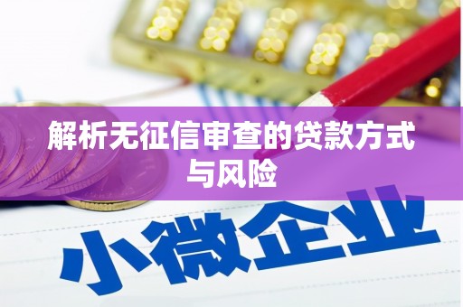 普湾新区解析无征信审查的贷款方式与风险