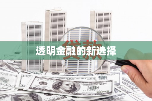 岭东透明金融的新选择
